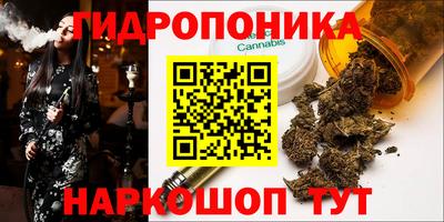 бошки Кимры