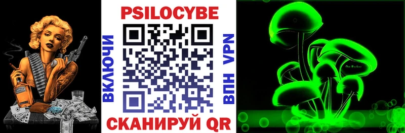 Галлюциногенные грибы Psilocybe  Мариинск 